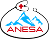 Apex Nursing